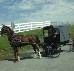 horse and buggy